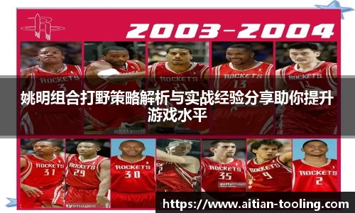 姚明组合打野策略解析与实战经验分享助你提升游戏水平