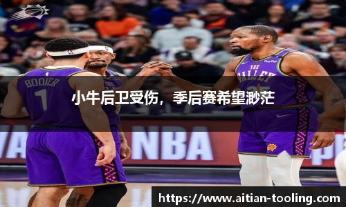 vsports体育在线官网