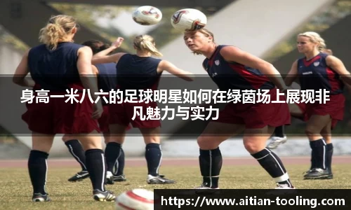 身高一米八六的足球明星如何在绿茵场上展现非凡魅力与实力