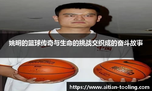 vsports体育在线官网