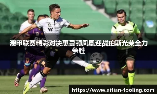 Vsports体育网页版