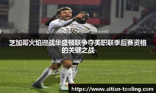 Vsports体育官网入口